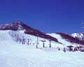 Go to  Fukushima Ski Area Secretariat HP